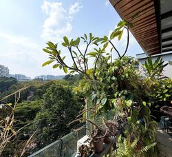 Canberra Residences (D27), Condominium #607740931